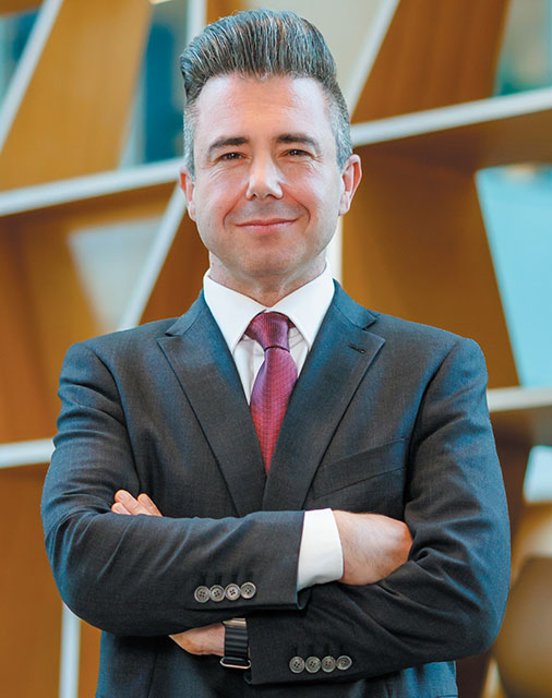 david stein